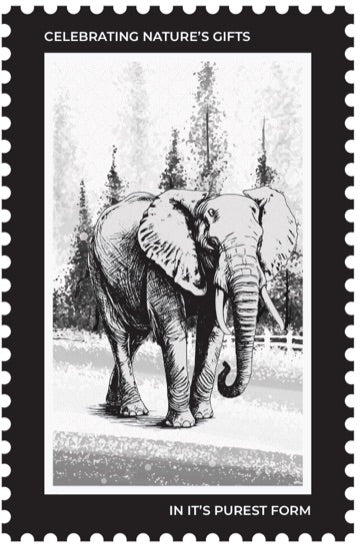 Origin stamp — elephant of Kerala