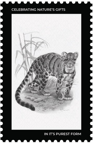 Origin stamp — clouded leopard of Meghalaya