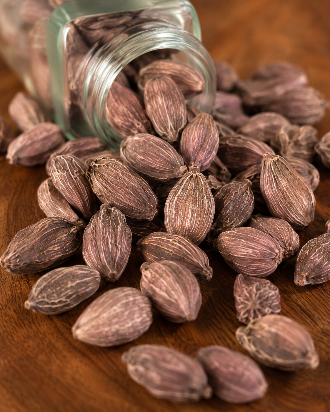 Seremna Black Cardamom (Hee Gaon)