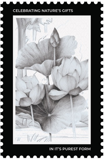 VIROOT origin stamp — Byadgi Chilli