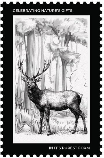 VIROOT origin stamp — Kashmir Saffron